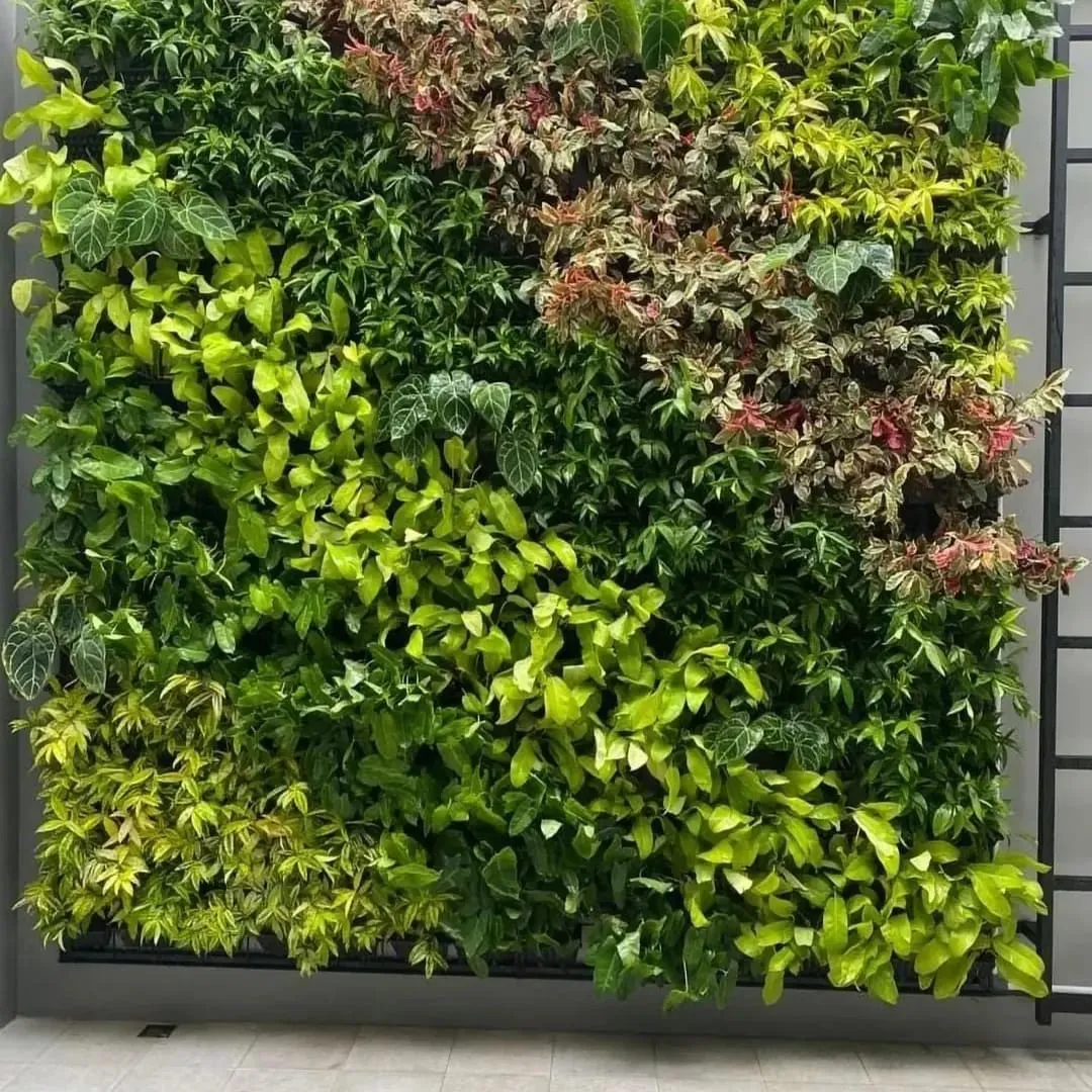 Jasa Vertical Garden di Setiabudi Jaksel